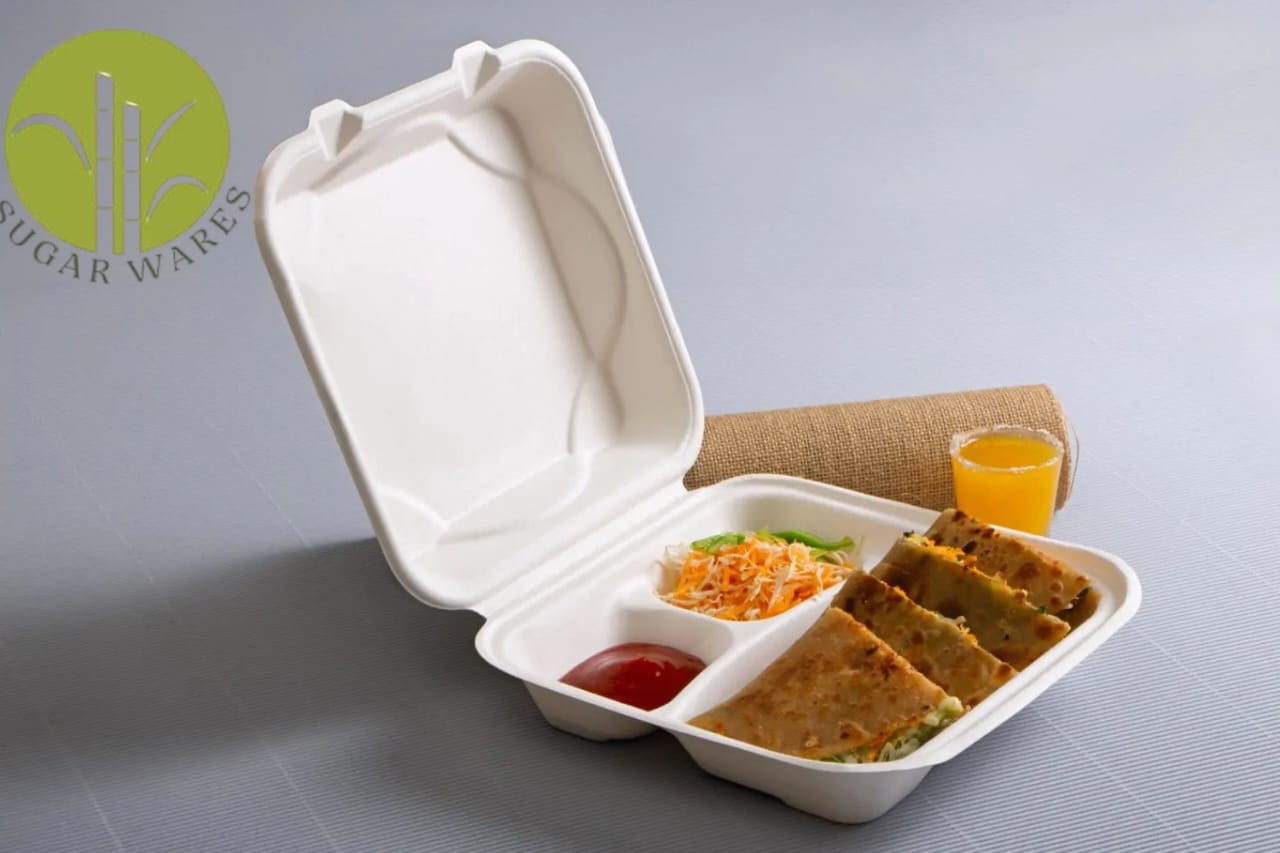How Bagasse Containers Are Revolutionizing Eco-Friendly Packaging! by Sugarwares